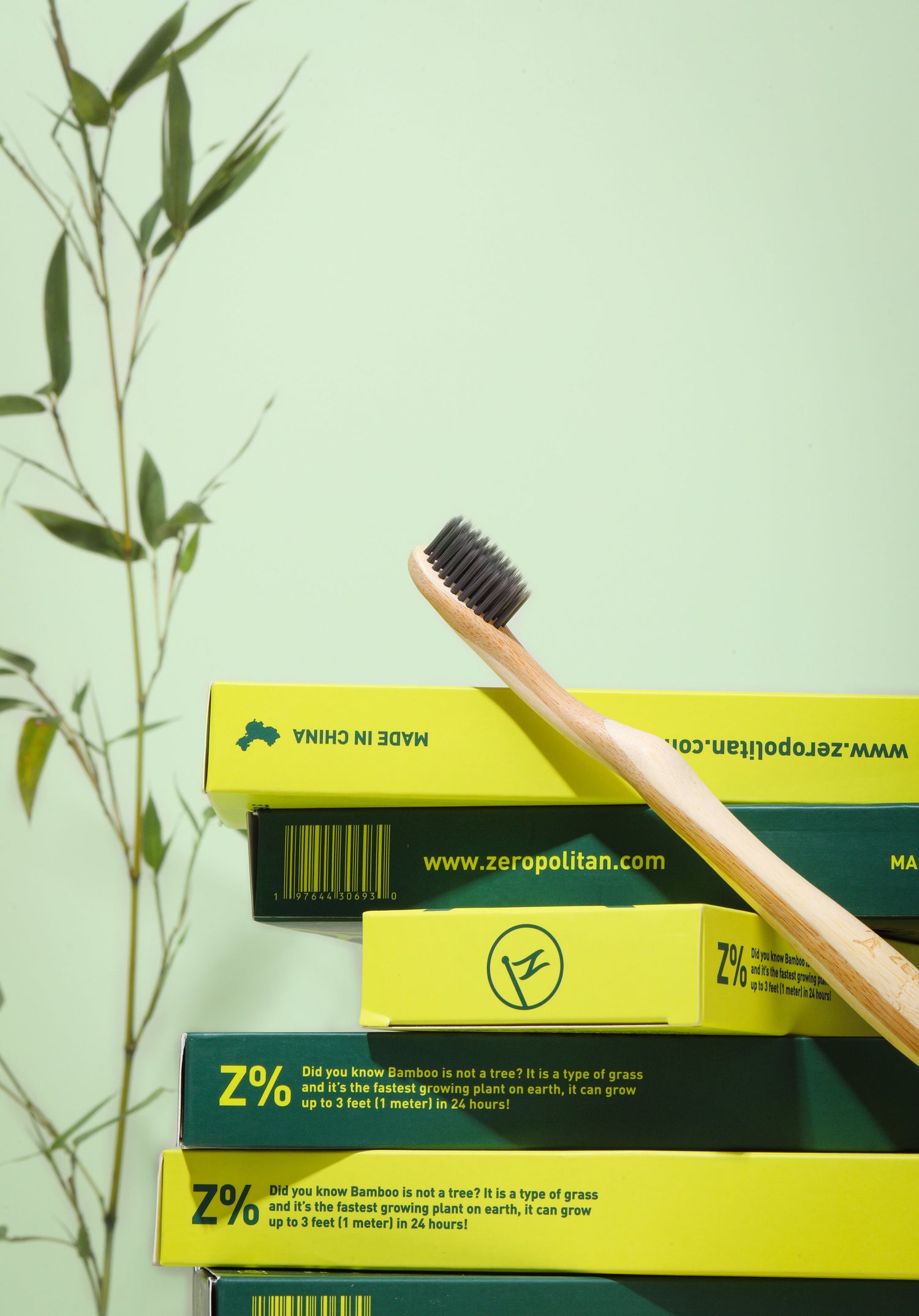 Bamboo Toothbrush